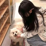 迷你冒险家内购破解版下载